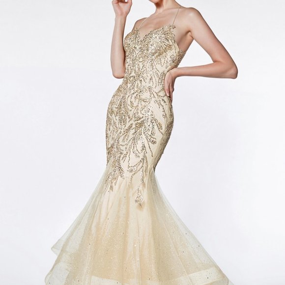 Cinderella Dresses & Skirts - Sweetheart Neck Lace Long Evening Dress CDAM018